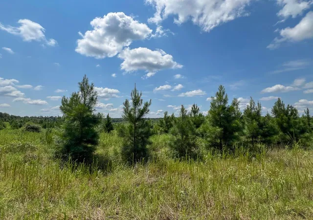 5th image of 8 Hwy 190, Woodville, TX 75979 | MLS# 12847793