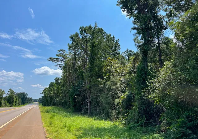 7th image of 8 Hwy 190, Woodville, TX 75979 | MLS# 12847793