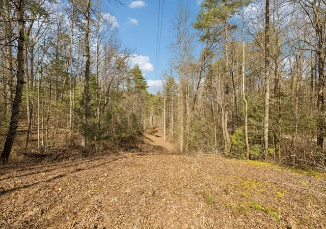 Photo 3 of Land for sale at 1489 Towee Pike, Reliance, TN 37369 | MLS# 56905277 | Listing updated on 2026-03-29