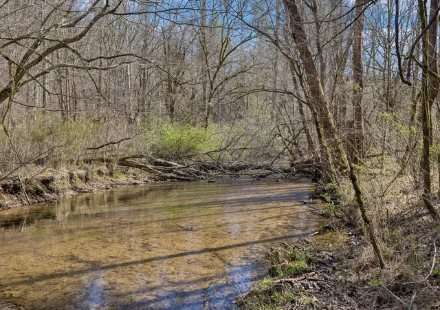 Photo 4 of Land for sale at 1489 Towee Pike, Reliance, TN 37369 | MLS# 56905277 | Listing updated on 2026-03-29