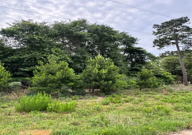 Photo 2 of Land for sale at 476 County Rd 3773, Cleveland, TX 77327 | MLS# 9588612 | Listing updated on 2026-06-02