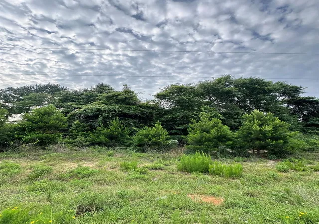 Photo 3 of Land for sale at 476 County Rd 3773, Cleveland, TX 77327 | MLS# 9588612 | Listing updated on 2026-06-02