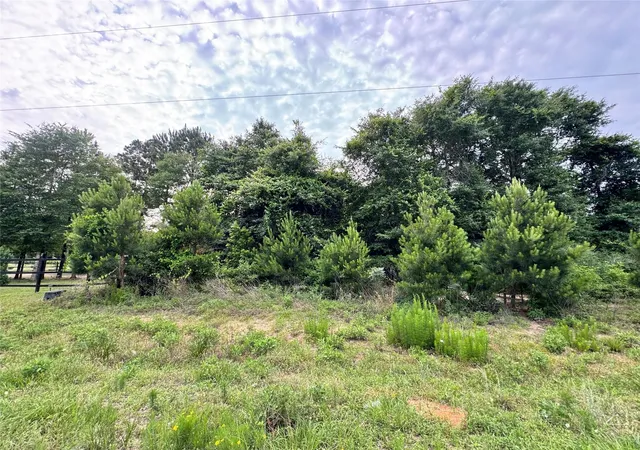 Photo 3 of Land for sale at 476 County Rd 3773, Cleveland, TX 77327 | MLS# 9588612 | Listing updated on 2026-06-02