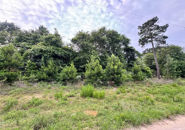 Photo 4 of Land for sale at 476 County Rd 3773, Cleveland, TX 77327 | MLS# 9588612 | Listing updated on 2026-06-02