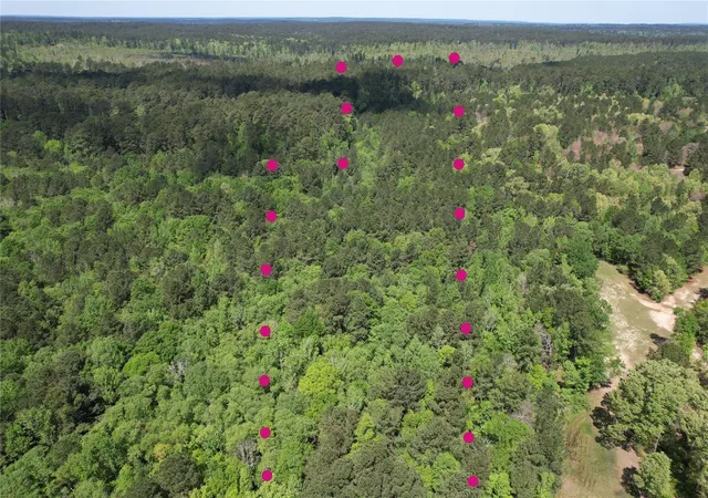 13th image of 000 County Road 1190, Grapeland, TX 75844 | MLS# 40865678
