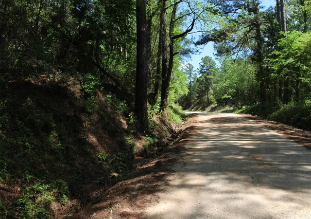 1st image of 000 County Road 1190, Grapeland, TX 75844 | MLS# 40865678