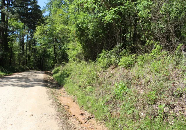 2nd image of 000 County Road 1190, Grapeland, TX 75844 | MLS# 40865678