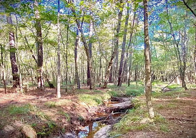 Photo 2 of Land for sale at 000 County Rd 1190, Grapeland, TX 75844 | MLS# 40865678 | Listing updated on 2026-09-18