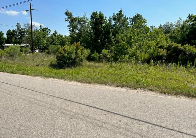 Photo 3 of Land for sale at 138 County Road 48761, Dayton, TX 77535 | MLS# 61460206 | Listing updated on 2026-09-04
