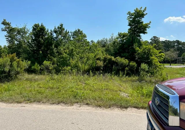 Photo 4 of Land for sale at 138 County Road 48761, Dayton, TX 77535 | MLS# 61460206 | Listing updated on 2026-09-04