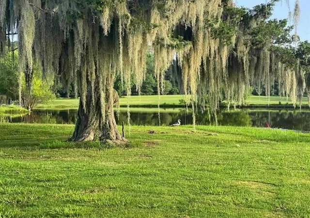 Photo 3 of Land for sale at 0 Natchez Pl, Trinity, TX 75862 | MLS# 7200374 | Listing updated on 2026-04-06