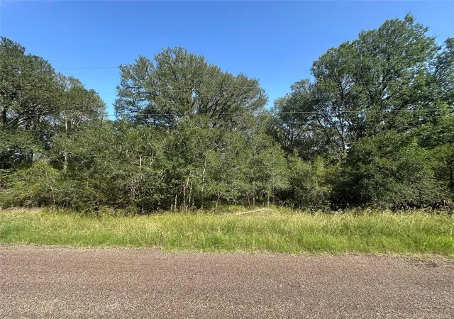 1st image of 344 And 362 Indian Ridge Dr, Somerville, TX 77879 | MLS# 69371209