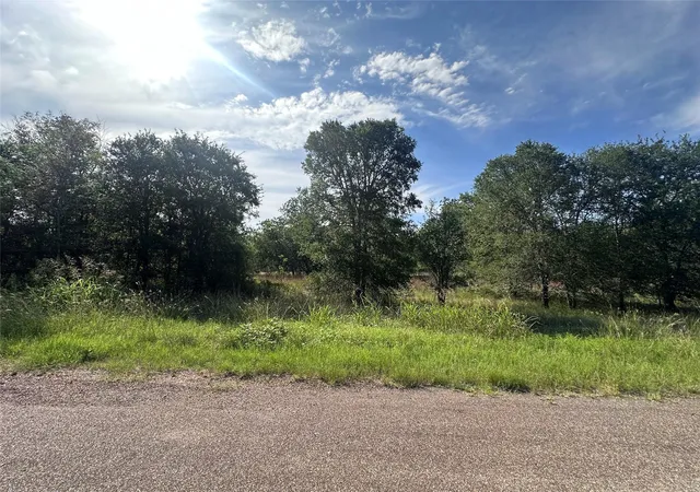 2nd image of 344 And 362 Indian Ridge Dr, Somerville, TX 77879 | MLS# 69371209