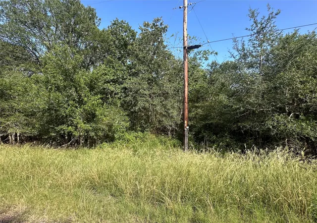 3rd image of 344 And 362 Indian Ridge Dr, Somerville, TX 77879 | MLS# 69371209