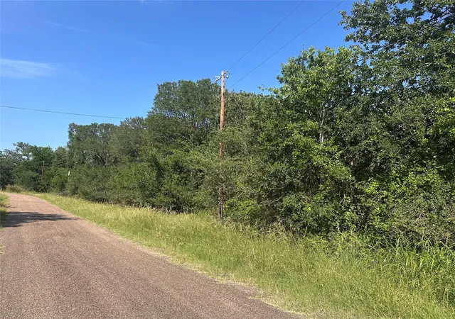4th image of 344 And 362 Indian Ridge Dr, Somerville, TX 77879 | MLS# 69371209