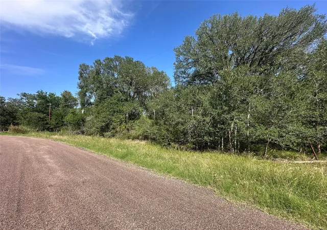 5th image of 344 And 362 Indian Ridge Dr, Somerville, TX 77879 | MLS# 69371209