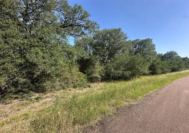 8th image of 344 And 362 Indian Ridge Dr, Somerville, TX 77879 | MLS# 69371209