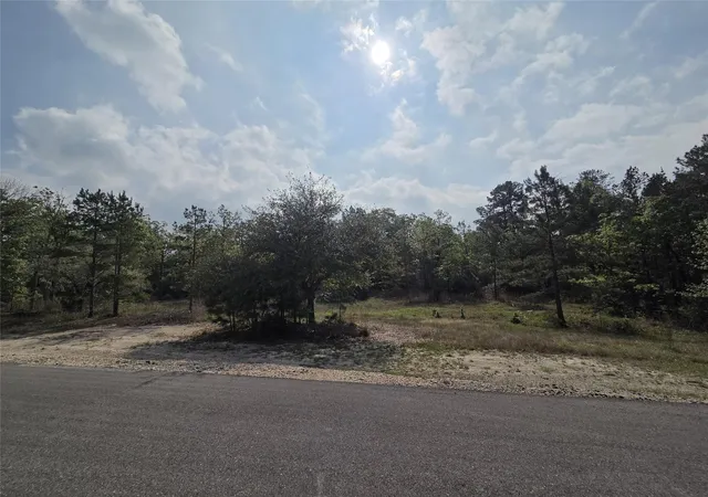 12th image of 258 Acres Oakdale Dr, Huntsville, TX 77320 | MLS# 59343165