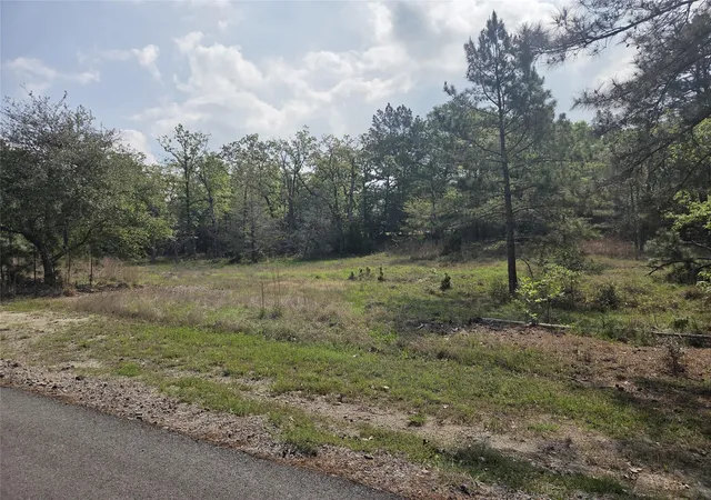 1st image of 258 Acres Oakdale Dr, Huntsville, TX 77320 | MLS# 59343165