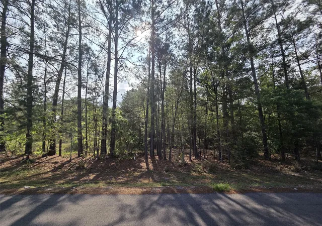 3rd image of 258 Acres Oakdale Dr, Huntsville, TX 77320 | MLS# 59343165