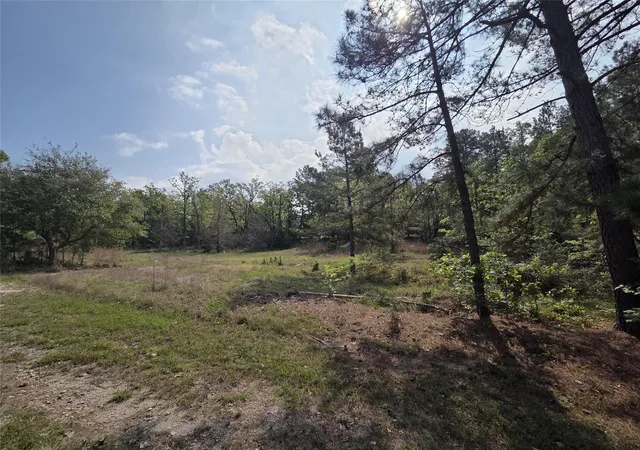 4th image of 258 Acres Oakdale Dr, Huntsville, TX 77320 | MLS# 59343165