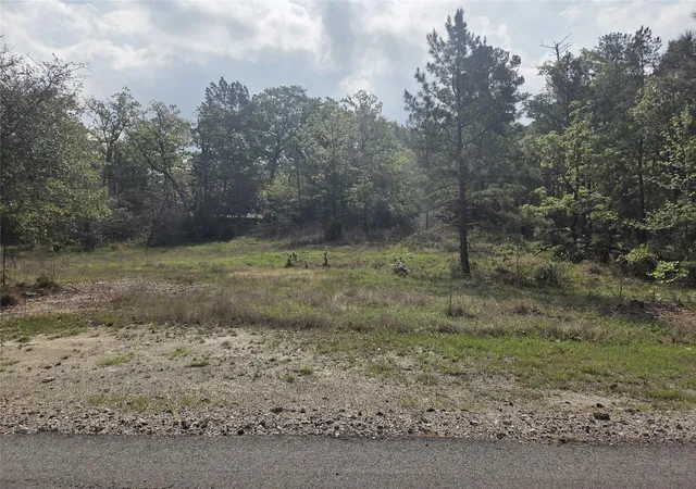 5th image of 258 Acres Oakdale Dr, Huntsville, TX 77320 | MLS# 59343165