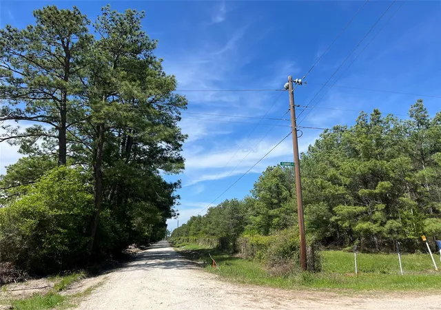 Homes for sale in Bedias, TX | 0019 English Rd Rd, Bedias, TX 77831 | MLS# 50534492