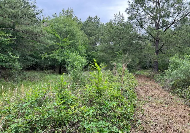 Homes for sale in Bedias, TX | 0019 English Rd Rd, Bedias, TX 77831 | MLS# 50534492