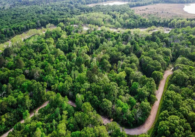 Photo 1 of Land for sale at 0 W Essex Dr, Conroe, TX 77302 | MLS# 84078131 | Listing updated on 2026-09-03