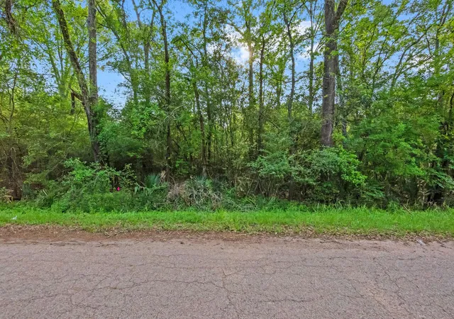 Photo 2 of Land for sale at 0 W Essex Dr, Conroe, TX 77302 | MLS# 84078131 | Listing updated on 2026-09-03