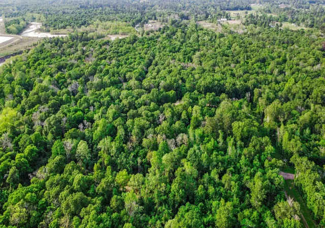 Photo 4 of Land for sale at 0 W Essex Dr, Conroe, TX 77302 | MLS# 84078131 | Listing updated on 2026-09-03