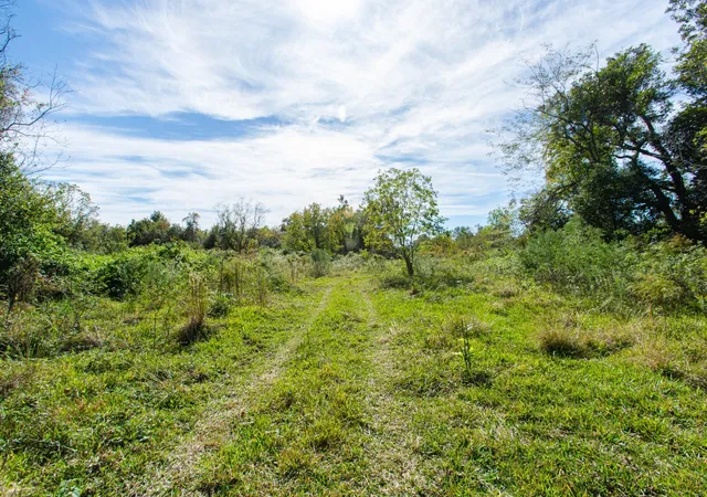 2nd image of Tbd Hwy 36 75 Acres, Jones Creek, TX 77541 | MLS# 69938688