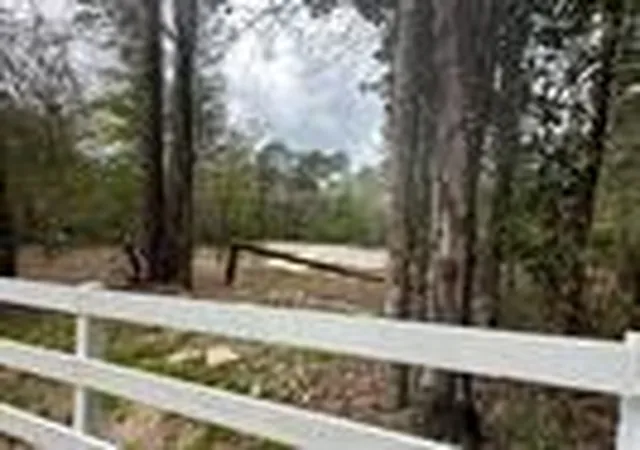 Photo 2 of Land for sale at 7389 Teaswood Dr, Conroe, TX 77304 | MLS# 33318312 | Listing updated on 2026-08-05