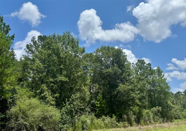 Photo 2 of Land for sale at Lot 15 Riverstone Dr, Livingston, TX 77351 | MLS# 82950813 | Listing updated on 2026-06-28