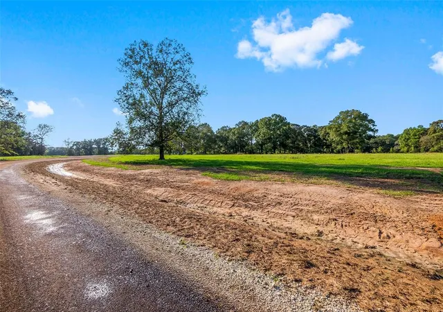 1st image of 6069 Alans Memorial Ln, New Waverly, TX 77358 | MLS# 37529841