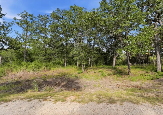 3rd image of Tbd Bengals Bnd, Somerville, TX 77879 | MLS# 64226860