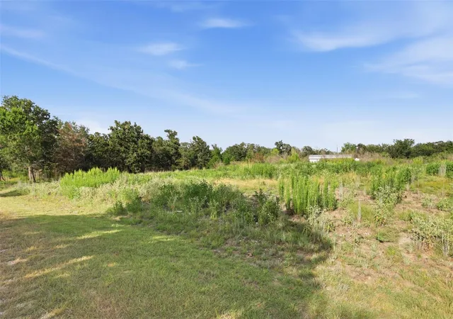 4th image of Tbd Bengals Bnd, Somerville, TX 77879 | MLS# 64226860
