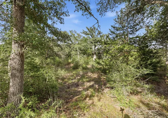 5th image of Tbd Bengals Bnd, Somerville, TX 77879 | MLS# 64226860