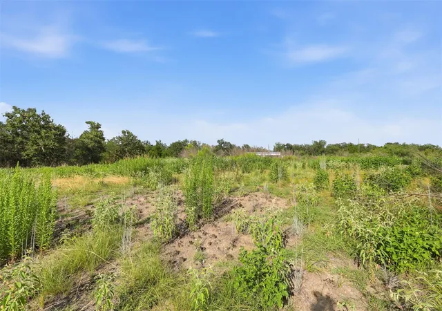 7th image of Tbd Bengals Bnd, Somerville, TX 77879 | MLS# 64226860