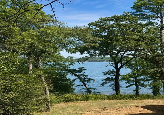 Photo 3 of Land for sale at 17964 Lookout Lake Cir, Flint, TX 75762 | MLS# 40091600 | Listing updated on 2026-08-23