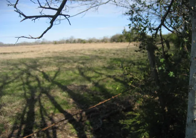 Photo 3 of Land for sale at 00 Cr 3057, Crockett, TX 75835 | MLS# 88936009 | Listing updated on 2026-03-04