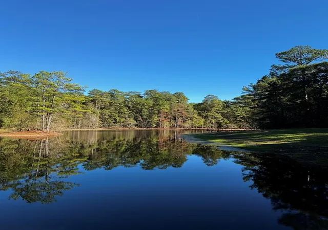 1st image of 3060 Hubert Cemetery Rd, Livingston, TX 77351 | MLS# 40643379
