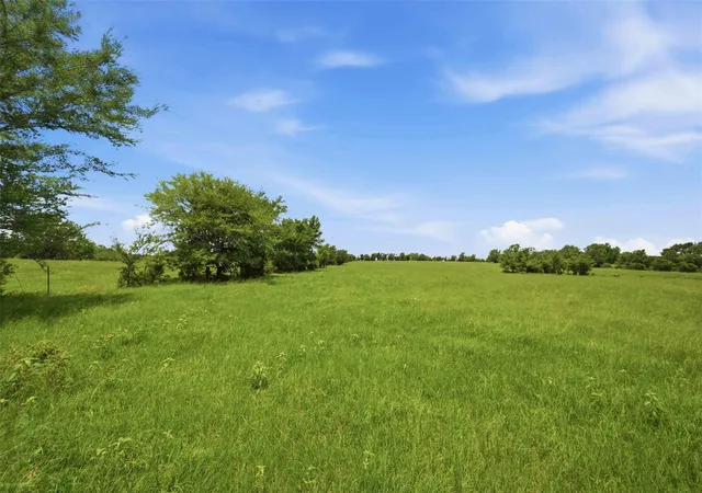 Homes for sale in Franklin, TX | Tract 1 Wheel Corner Rd, Franklin, TX 77856 | MLS# 54488968