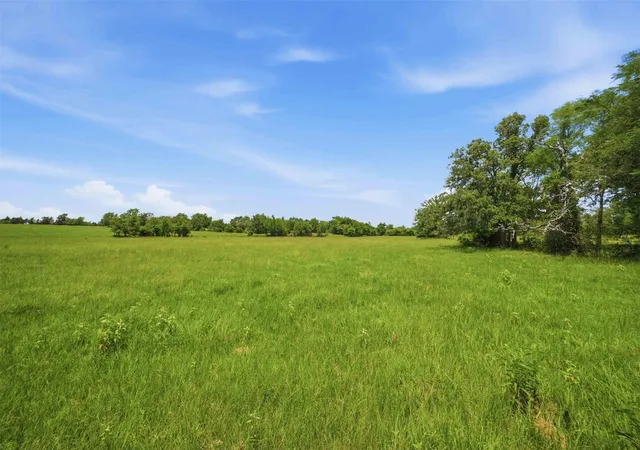 Homes for sale in Franklin, TX | Tract 1 Wheel Corner Rd, Franklin, TX 77856 | MLS# 54488968