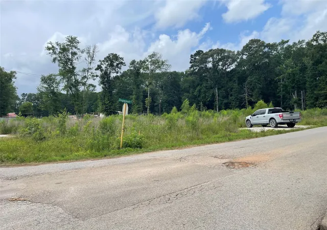 Photo 3 of Land for sale at Lot 21 Galaxy Blvd, New Caney, TX 77357 | MLS# 96798457 | Listing updated on 2026-08-18