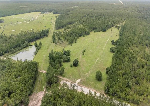 Homes for sale in Kountze, TX | 000 N 69/287 Hwy, Kountze, TX 77625 | MLS# 3998705