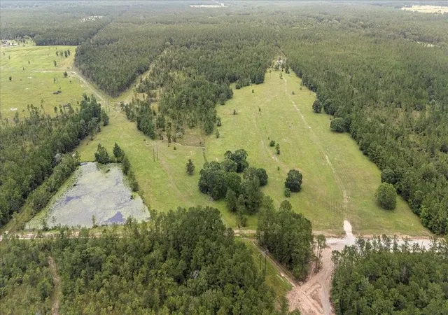 Homes for sale in Kountze, TX | 000 N 69/287 Hwy, Kountze, TX 77625 | MLS# 3998705