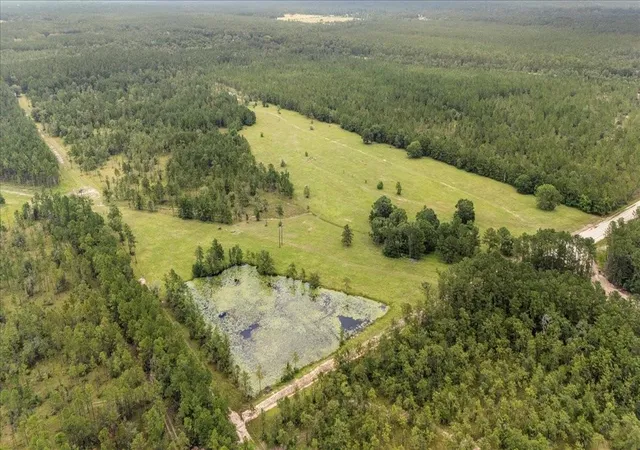 Homes for sale in Kountze, TX | 000 N 69/287 Hwy, Kountze, TX 77625 | MLS# 3998705