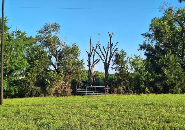 Photo 1 of Land for sale at 18155 Wellmann Rd, Washington, TX 77880 | MLS# 3950999 | Listing updated on 2026-07-28