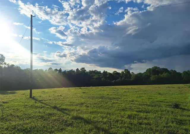 Photo 3 of Land for sale at 18155 Wellmann Rd, Washington, TX 77880 | MLS# 3950999 | Listing updated on 2026-07-28